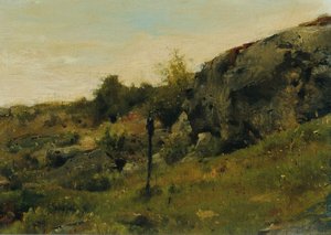 Kayalar ile çayır manzara