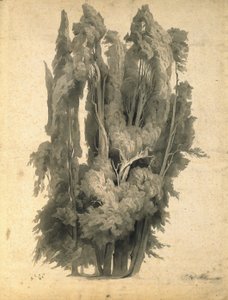  by Johann Wilhelm Schirmer