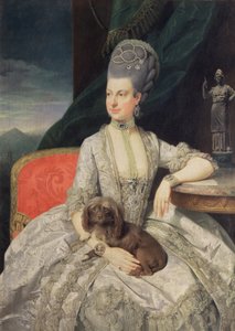 Arşidüşes Maria Christine Habsburg-Lothringen (1742-98), Avusturya İmparatoriçesi Maria Theresa