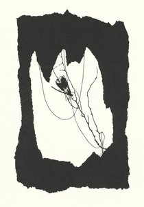  by Johanna Beckmann