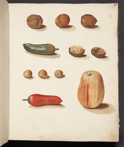 Elma, fındık ve biber çalışması by Johanna Fosie