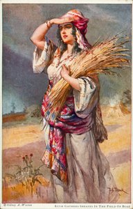  by Johannes Adolf Tillack