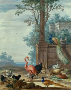 Tavus kuşu, sülün, flamingo ve diğer kümes hayvanları (guaj) ile İtalyan Manzarası by Johannes Bronckhorst