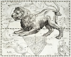 Aslan, Aslan takımyıldızı, Johann Hevelius