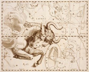 Boğa (burç), Firmamentum Sobiescianum sive Uranographia