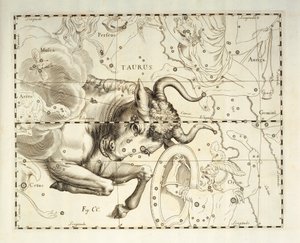Boğa, Boğa takımyıldızı, göksel atlas Firmamentum Sobiescianum sive Uronographia'dan gravür, Johann Hevelius (1611-1687), Gdansk