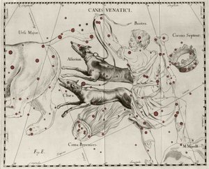 Takımyıldız Canes Venatici, Av Köpekleri. Johannes Hevelius veya Hevel (1611-1687) tarafından “” Firmamentum Sobiescanum sive Uranographia”dan çizilmiş plaka by Johannes Hevelius