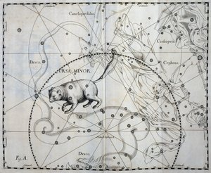 Küçük Ayı, Küçük Ayı'nın Boreal takımyıldızı, göksel atlas Firmamentum Sobiescianum sive Uronographia'dan gravür, Johann Hevelius (1611-1687), Gdansk by Johannes Hevelius