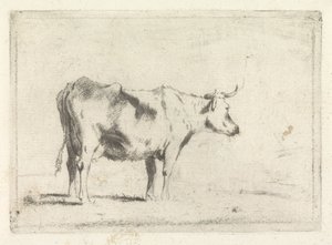 İnek, sağa by Johannes Janson (possibly)