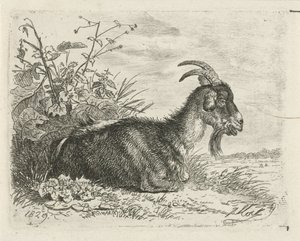 yalan kitabı by Johannes Mock
