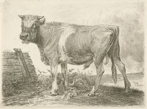 Boğa burcu by Johannes Mock