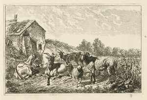 Bir evin yanında dört keçi ve bir koyun by Johannes Mock