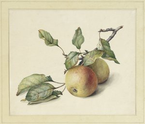 Bir dalda iki elma by Johannes Reekers (II)