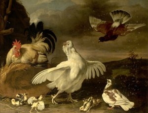 Tavuklar ve Güvercinler ile Horoz ve Tavuk by Johannes Spruyt
