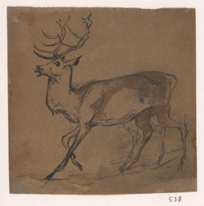 Hert by Johannes Tavenraat