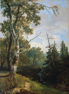Wolfheze yakınlarındaki orman manzarası. by Johannes Warnardus Bilders