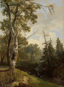 Waldstück bei Wolfheze (Wolfheze