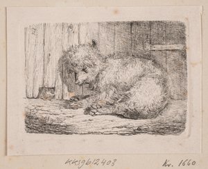 Uzun tüylü bir köpek by Johannes Wilhelm Zillen