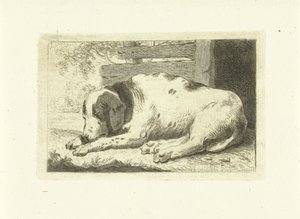 Uyuyan köpek