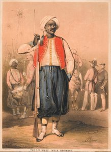 Asker, 3 Batı Hindistan Alayı