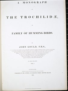 Frontispiece (el renginde taş) by John (after) Gould