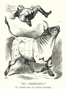 Yumruk karikatürü: Bos Americanus; veya, Yankee Beef ve British Butcher - Amerikan eti ithal etmenin tüketicilere beklenen faydaları (gravür) by John (after) Tenniel