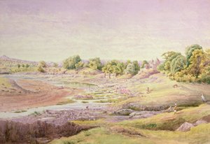 Bölüm by John Alexander Temple