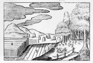 Dünyanın Meyveleri, 1658 by John Amos Comenius