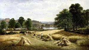 Bishopsteignton, Plymouth yakınlarında Altın Tahıl Toplama by John Barrett