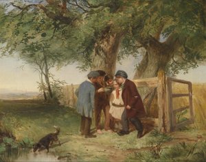 kuş yuvası by John Blake MacDonald