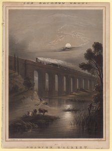 ಎಕ್ಸ್‌ಪ್ರೆಸ್ ಗ್ಯಾಲೋಪ್ ಟರ್ಕ್ by John Brandard