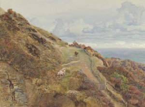 Bonchurch Downs, 1865. by John Brett