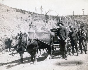 Güney Dakota