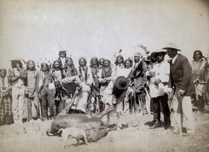 Sığır derisinin yüzülmesi, 1891