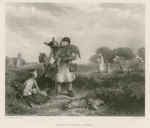 Ortak Evcil Hayvan by John Callcott Horsley