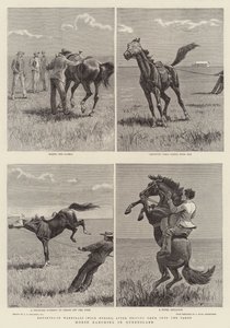 Queensland'de At Çiftliği by John Charles Dollman