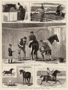 Islington Horse Show