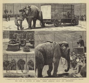 Myers'ın Büyük Amerikan Sirki ve Hipodromunun Açık Artırma Yoluyla Satışı by John Charles Dollman