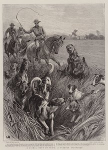 Hindistan