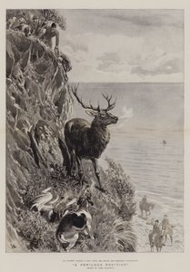 Tehlikeli Bir Pozisyon