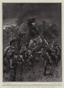Vahşi Bir İzdiham, Güney Afrika Dolu Fırtınasının Etkisi by John Charlton