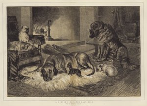 Bir Kış Günü, Salon Ateşi by John Charlton