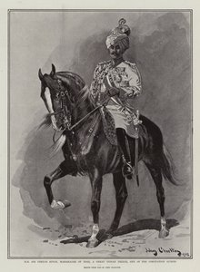 HH Sir Pertab Singh, Idar Mihracesi, Büyük Kızılderili Prensi, Taç Giyme Konuklarından biri