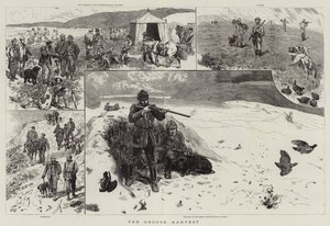 Orman Tavuğu Hasadı by John Charlton