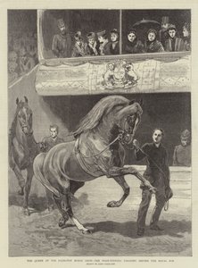 Islington Horse Show'da Kraliçe, Kraliyet Kutusu önünde geçit töreni yapan Ödül Kazananlar by John Charlton