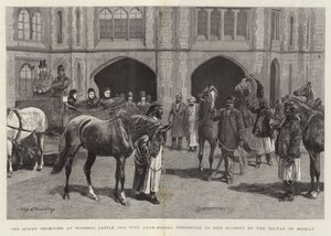 Kraliçe, Muscat Sultanı tarafından Majestelerine takdim edilen Beş Arap Atını Windsor Şatosu
