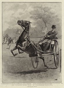 Richmond At Gösterisi, Prova Edilmemiş Bir Sergi by John Charlton