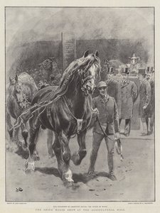 Tarım Salonunda Shire At Gösterisi by John Charlton