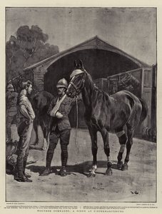 Yaralı Yoldaşlar, Pietermaritzburg