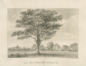 Boscobel - Royal Oak : sepya çizimi, 1820 by John Chessell Buckler